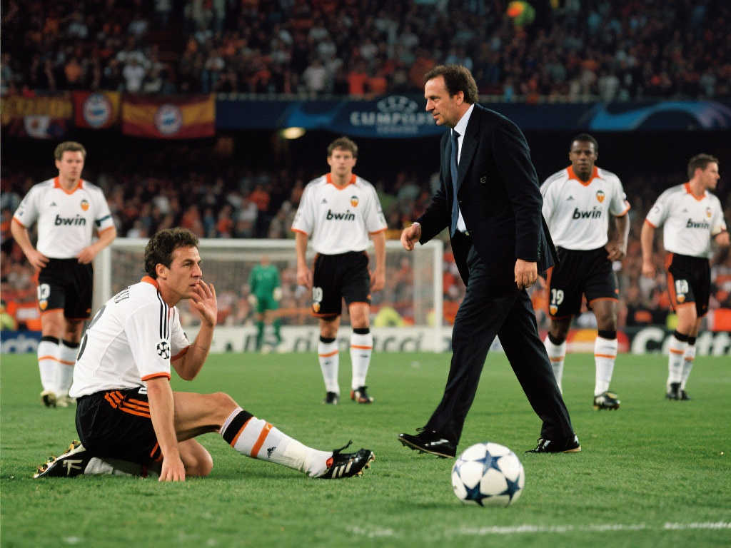 阳的组合宛 阳的组合宛